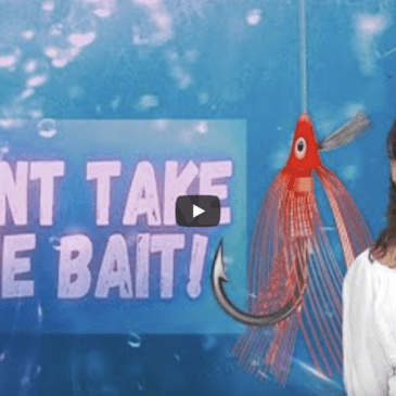 Student trailer “Don’t Take the Bait!” Grades 2-5 for Martin County Schools